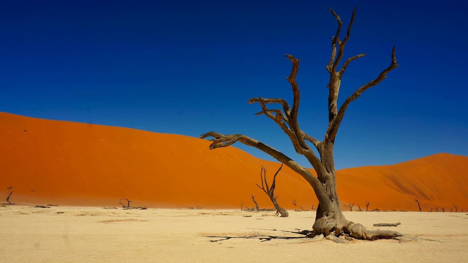Africa